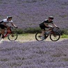 Why choose to organize a cycling holiday?