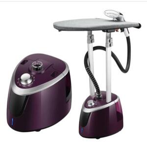 What can the Steam Iron Garment Steamer iron?