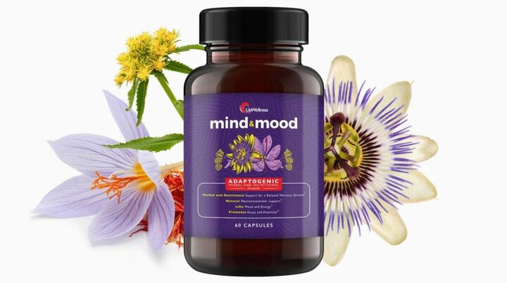 What Makes Best Nootropics So Special