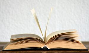 Your Story, Professionally Published: Why Authors Choose Book Publishing Hub