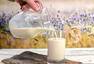 Explore Saudi Arabia Camel Milk Market 2025: Trends, Growth, and Insights