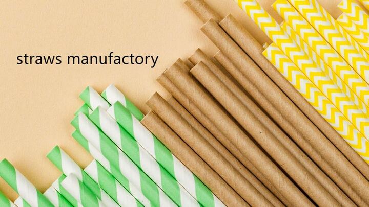 Where Art Meets Science in Paper Straw Manufacturing