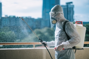 Signs You Need Professional Pest Control and How to Spot Them
