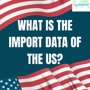 US Import Customs Data