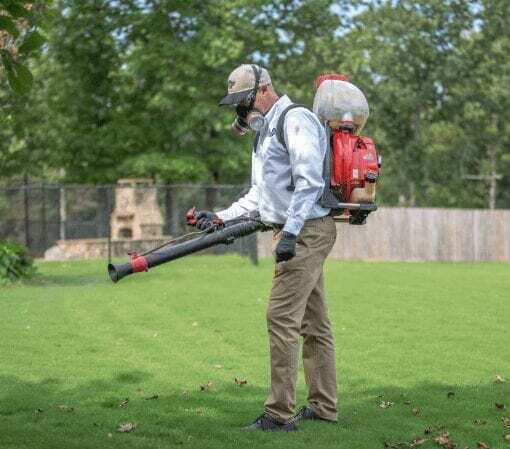 Debunking the Most Popular Myths about Termites