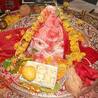 Kaal Sarp Dosh Puja Ujjain