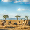 Family Vacation Travel Guide: Activities and Destinations for All Ages