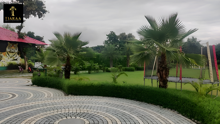 Experience the Finest Stay at Tiaraa’s Best Resorts in Corbett
