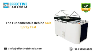 The Fundamentals Behind Salt Spray Test