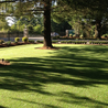 The Effortless Green Revolution: Artificial Turf