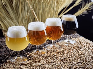 Europe Craft Beer Market Trends, Size, Growth Analysis, &amp; Forecast Report 2024-2032