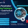 Advanced Web Penetration Testing Training in India for Professionals