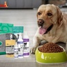 Where to Buy Healthy Pet Food at Best Prices