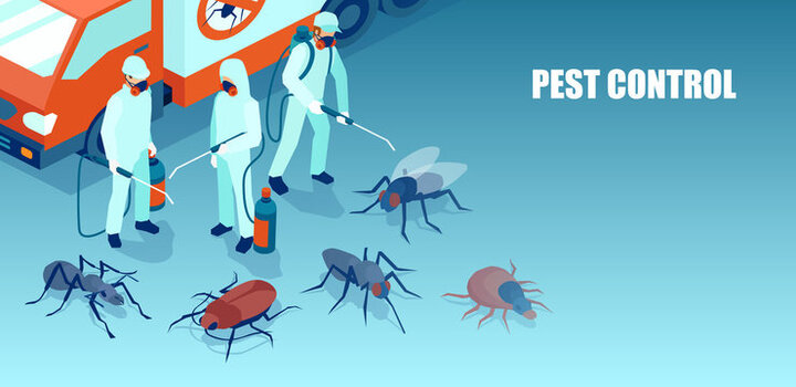 How to Become a Certified Exterminator: A Comprehensive Guide