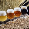 Europe Craft Beer Market Trends, Size, Growth Analysis, &amp; Forecast Report 2024-2032