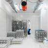 When to Use Climate-Controlled Storage