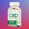 Coral CBD Gummies Review