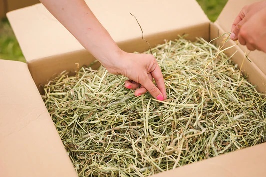 Hay Boxes in the UK with the Fresh Hay Grass