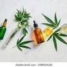 Things Will Change The Way You Approach Cbd Oil In Skincare