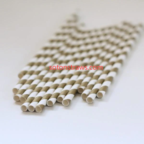 Eco-Friendly Straws Factory: Digital Guardians of Disappearing Crafts  