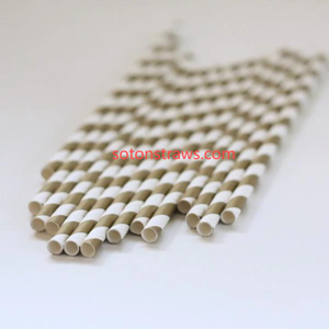 Eco-Friendly Straws Factory: Digital Guardians of Disappearing Crafts  