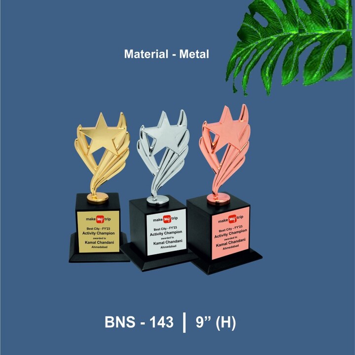 What Makes Trophy Manufacturers in Delhi Stand Out in the Industry?