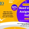 Global Assignment Expert - Your Online Assignment Help Services 