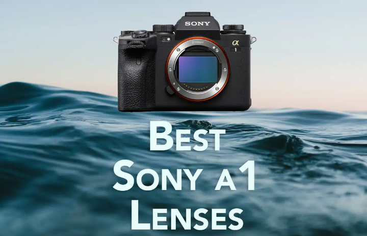 Unleashing Creativity: A Review of the Sony A1 and Its Cutting-Edge Technology