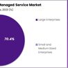 Telecom Managed Service Market Demand: How SMBs are Adopting Managed Services