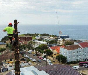 Tree Pruning Sydney