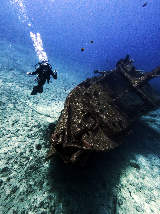 Explore Bali’s Top Dive Sites with Bali Aqua Dive Center