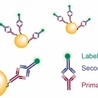 Flow Cytometry Gold Nanoparticles for Enhanced Cellular Analysis