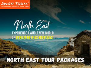 Seeking Offbeat Adventures? What Can North East Tour Packages Offer?