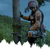 Enhancing Your Property: The Benefits of Professional Wood Chipping and Arboriculture