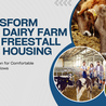 Transform Your Dairy Farm with Freestall Barn Housing 