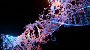 Amino acid composition analysis