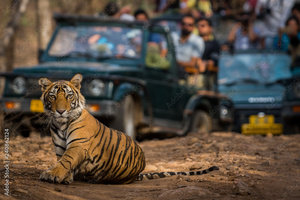 Golden triangle tour with Ranthambore by India Golden Triangles Company.