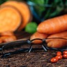 Enhancing Vision Naturally with Eye Health Supplements