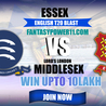 Play Fantasy Cricket Online