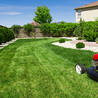 The Ultimate Guide to Lawn Care Services in Florida