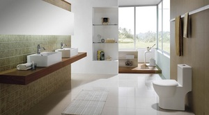  Sanitary Ware Maintenance Tips for Long-Lasting Quality in Malaysia