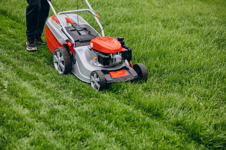The Future of Lawn Mowing Services: Technology, Robotics, and Eco Trends