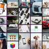 Free pet classifieds