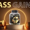 Lean mass gainer