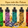 My Shisha 10000 Puffs Disposable Device 10pk - Vape into the Future