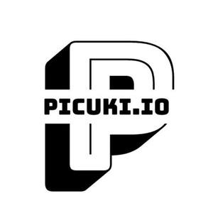 Picuki: A Strategic Imperative for Leveraging Instagram&#039;s Public Data Ecosystem