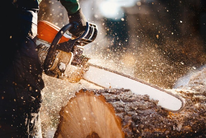 Tree Lopping North Shore