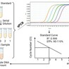 Efficient RNA Detection Assay Kits (qPCR) for Biological Researchers