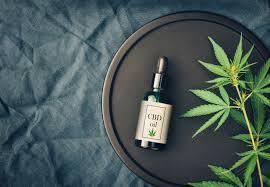  The 10 Most Successful High Quality Cbd Oils Companies In Region