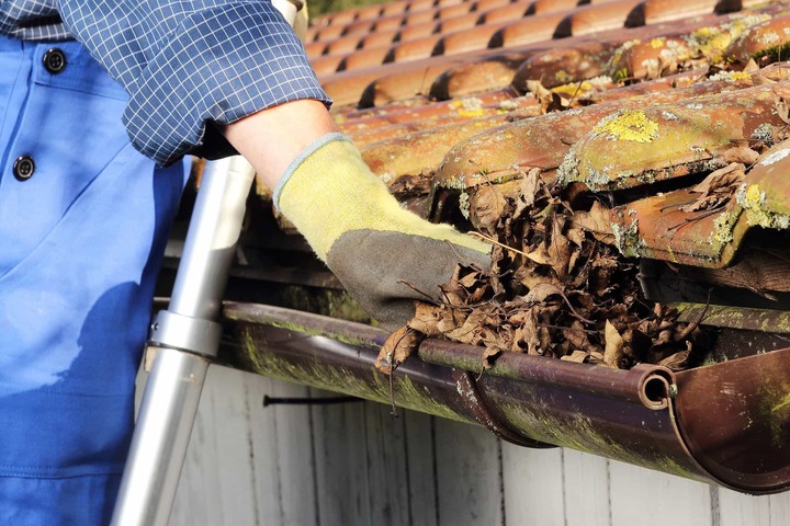 Who Offers Reliable Gutter Cleaning Services in Bronx NY?